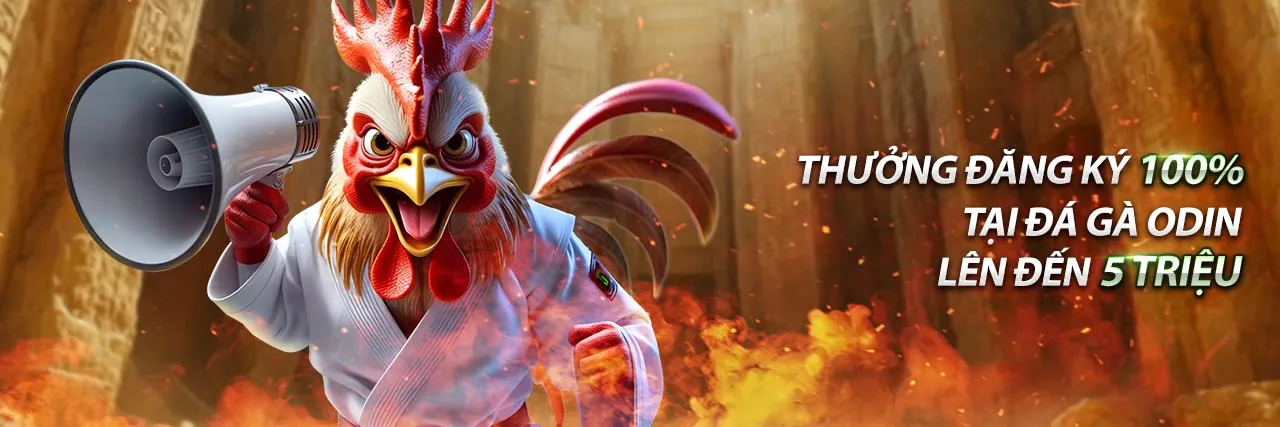 Đá Gà Trực Tuyến Hấp Dẫn tại EV99 Đăng Nhập