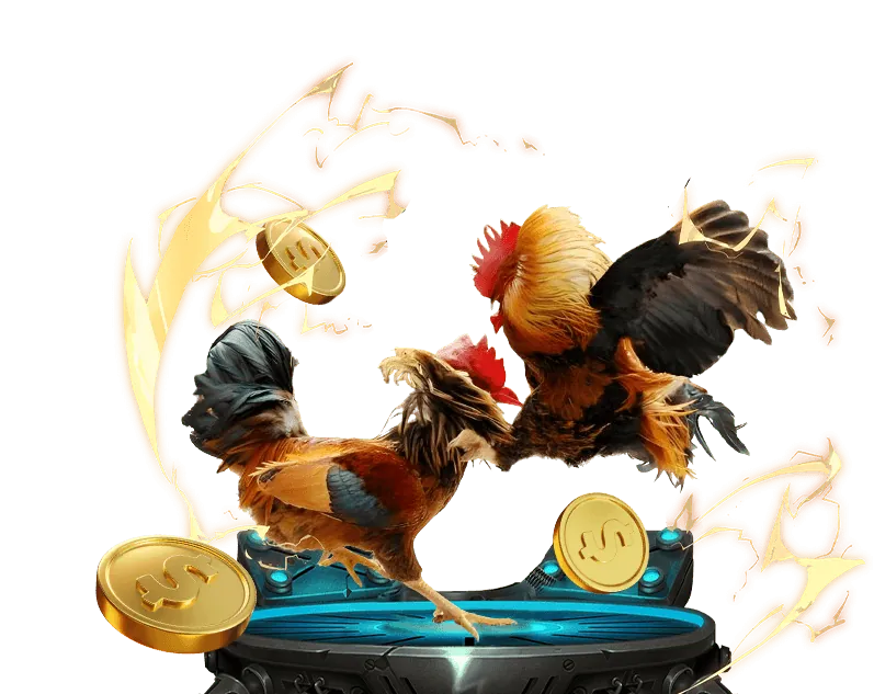 Quy trình rút tiền EV99